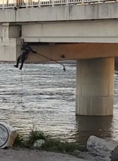 Bursa’nın Karacabey ilçesinde, köprü altında asılı kalan güvercinlerden biri olay