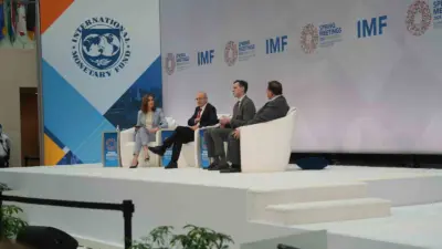 Hazine ve Maliye Bakanı Mehmet Şimşek, Uluslararası Para Fonu (IMF)