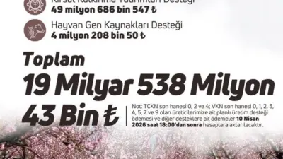 Tarım ve Orman Bakanı İbrahim Yumaklı, 19 milyar 538 milyon