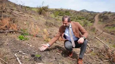 Gürsu’da geçtiğimiz yaz yaşanan büyük yangından sonra yapılan yeşillendirme çalışmaları
