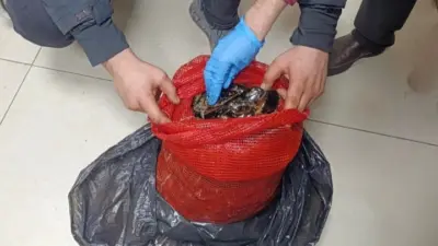 Bursa ve Balıkesir’de polis ekiplerinin düzenlediği eş zamanlı operasyonda, halk