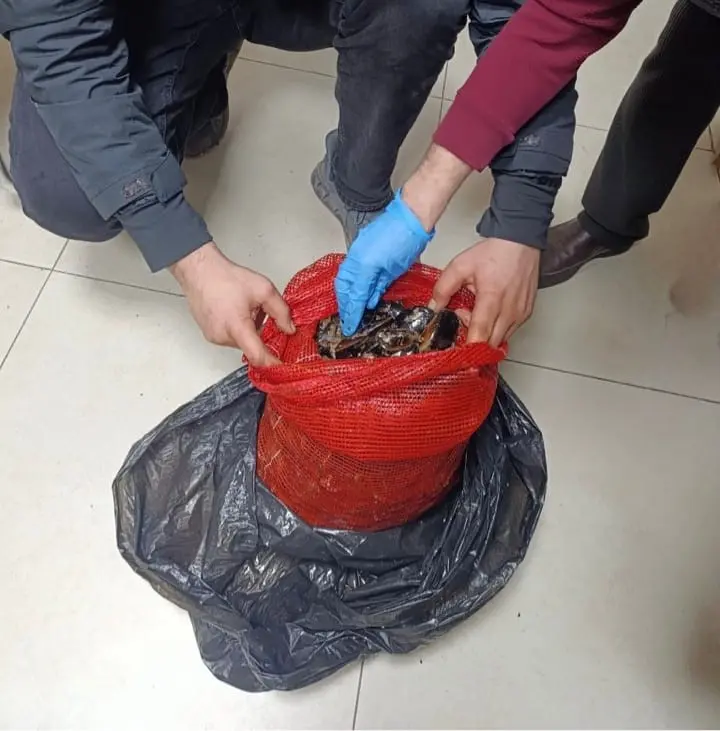 Bursa ve Balıkesir’de polis ekiplerinin düzenlediği eş zamanlı operasyonda, halk