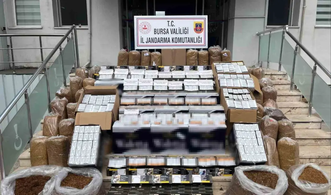 Bursa’nın Gemlik ilçesinde jandarma ekipleri düzenlenen operasyonda 205 bin adet