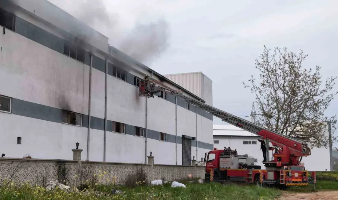 Bursa’nın İnegöl ilçesinde bir mobilya fabrikasında yangın çıktı. Alevler, itfaiye