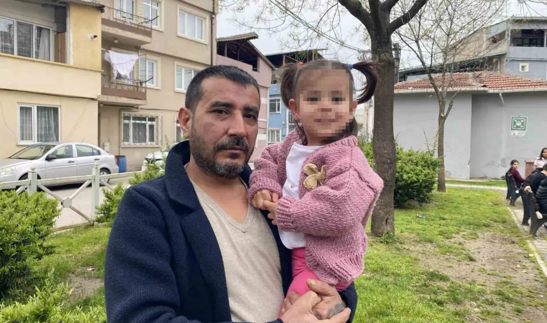 BURSA (İHA) – Bursa’da parkta toplanan bitkiler arasında bulunan zehirli