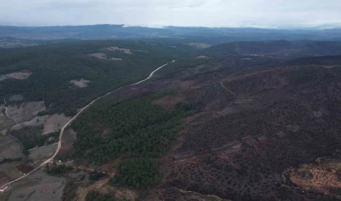 Bursa’da yakın tarihin en büyük orman yangınlarından birisi olan ve