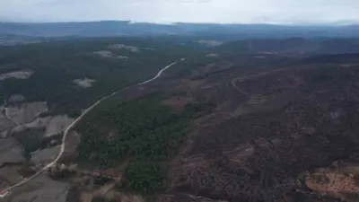 Bursa’da yakın tarihin en büyük orman yangınlarından birisi olan ve