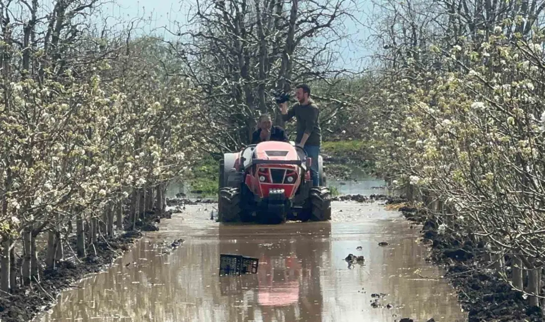 Bursa’nın Gürsu ilçesinde yüzlerce dönüm şeftali ve armut bahçesi su
