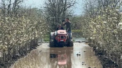 Bursa’nın Gürsu ilçesinde yüzlerce dönüm şeftali ve armut bahçesi su