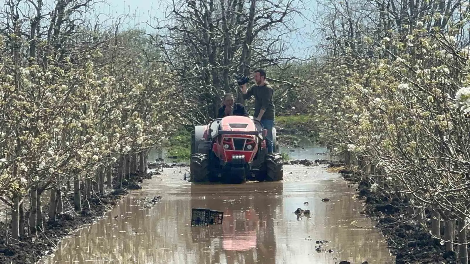 Bursa’nın Gürsu ilçesinde yüzlerce dönüm şeftali ve armut bahçesi su