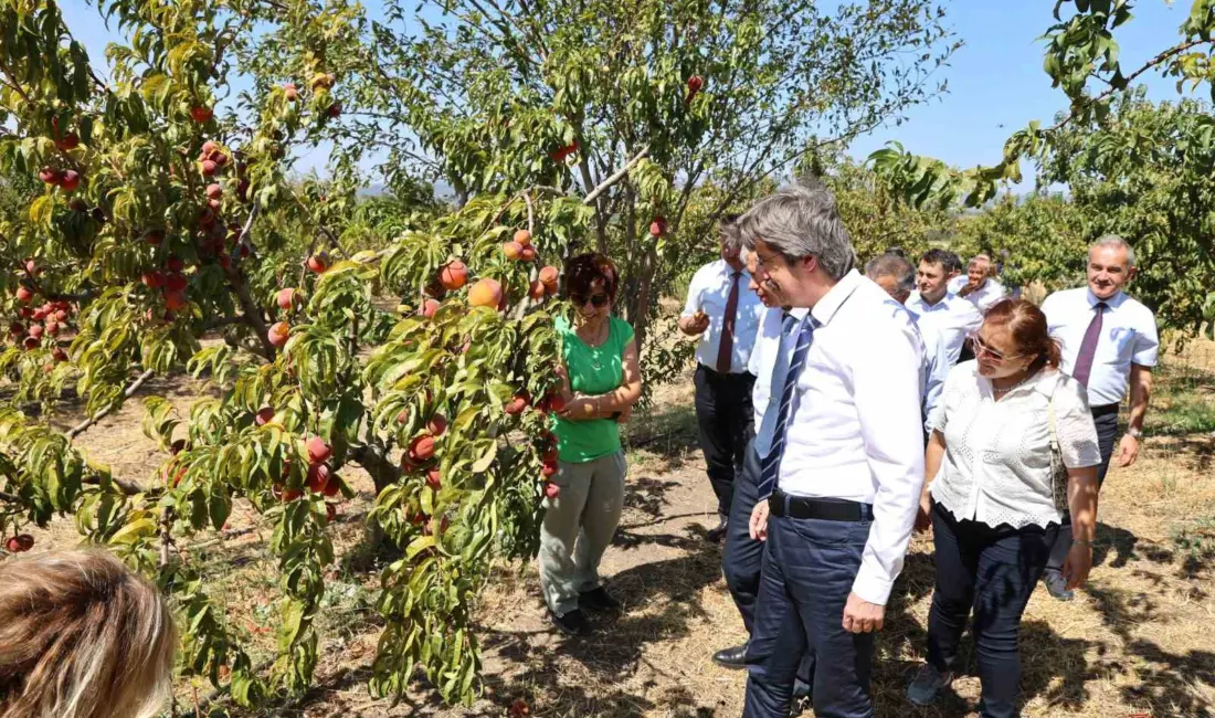 Bursa Uludağ Üniversitesi (BUÜ), 2026 yılı alan bazlı QS Dünya