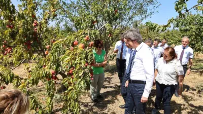 Bursa Uludağ Üniversitesi (BUÜ), 2026 yılı alan bazlı QS Dünya