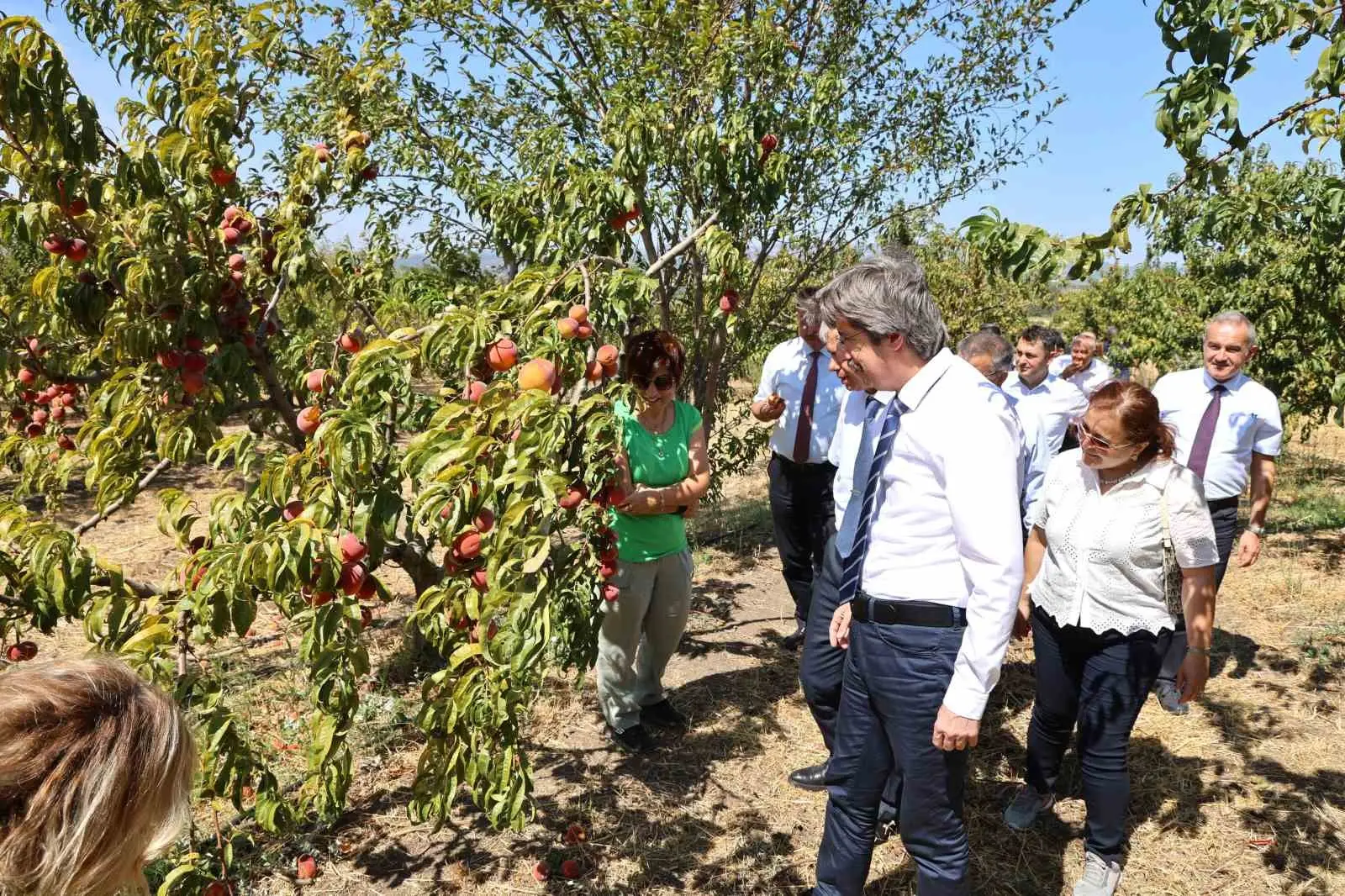 Bursa Uludağ Üniversitesi (BUÜ), 2026 yılı alan bazlı QS Dünya