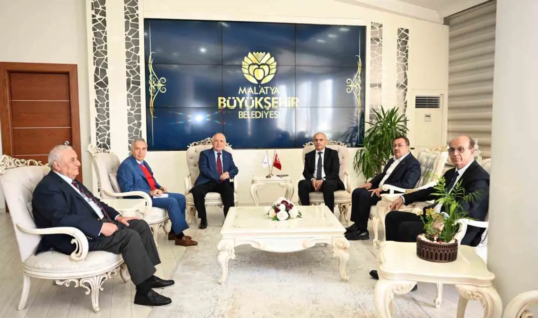 Cumhurbaşkanlığı Yüksek İstişare Kurulu Üyesi ve Türkiye Büyük Millet Meclisi