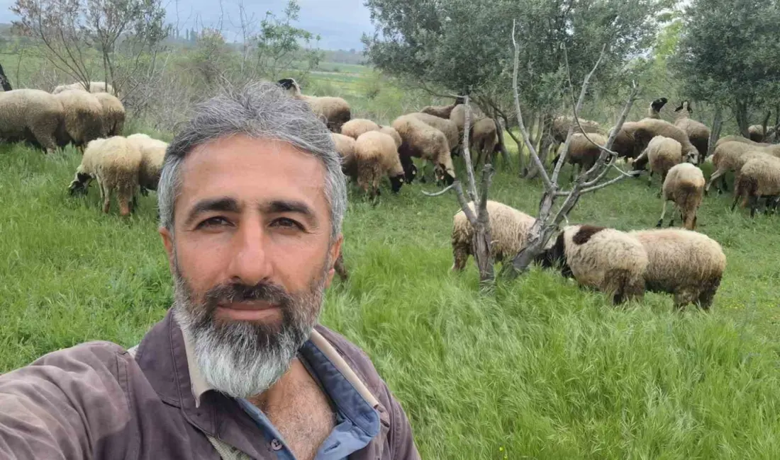 Denizli’nin Pamukkale ilçesinde büyükbaş hayvancılığı bırakarak küçükbaş üretime yönelen iki