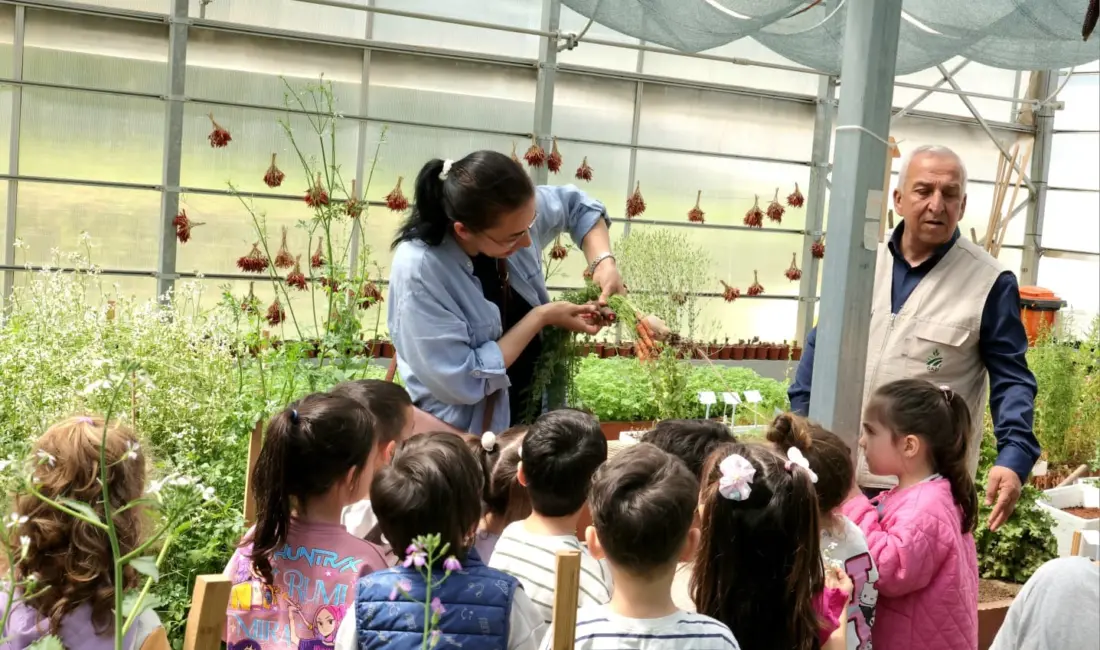Osmangazi Belediyesi, çocukların toprakla tanışması ve tükettikleri gıdaların üretim sürecini