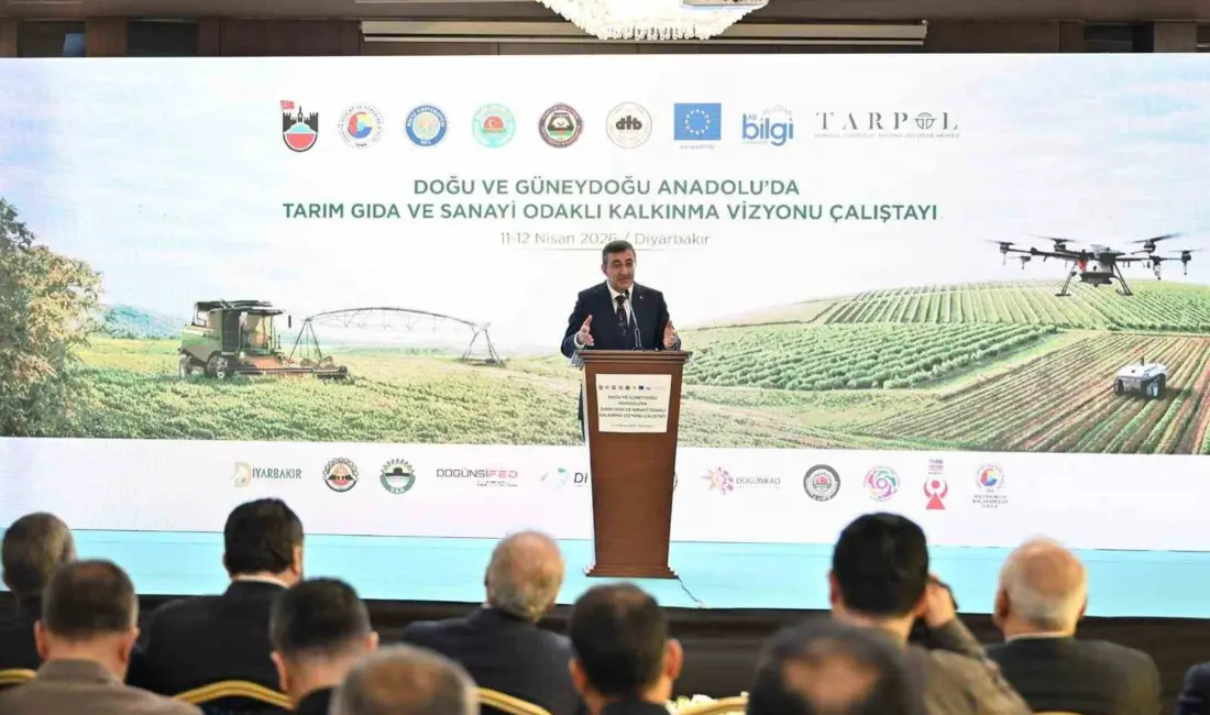 Cumhurbaşkanı Yardımcısı Cevdet Yılmaz, Doğu ve Güneydoğu Anadolu’da coğrafyanın da