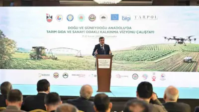 Cumhurbaşkanı Yardımcısı Cevdet Yılmaz, Doğu ve Güneydoğu Anadolu’da coğrafyanın da