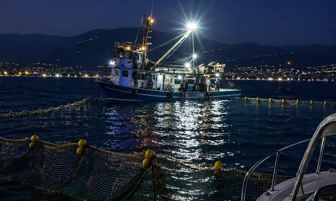 Gemlik Körfezi içerisinde ve özellikle sahil önlerinde, su üstünde yüzer