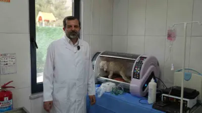 Gürsu Belediyesi’nin, 80 dönümlük mesire alanı içinde yapımını bitirdiği Butik