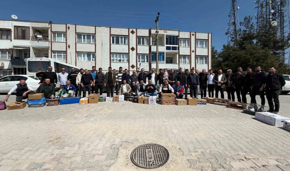 Bursa’nın Mustafakemalpaşa ilçesinde ilk kez düzenlenen toplu güvercin salımı etkinliği,