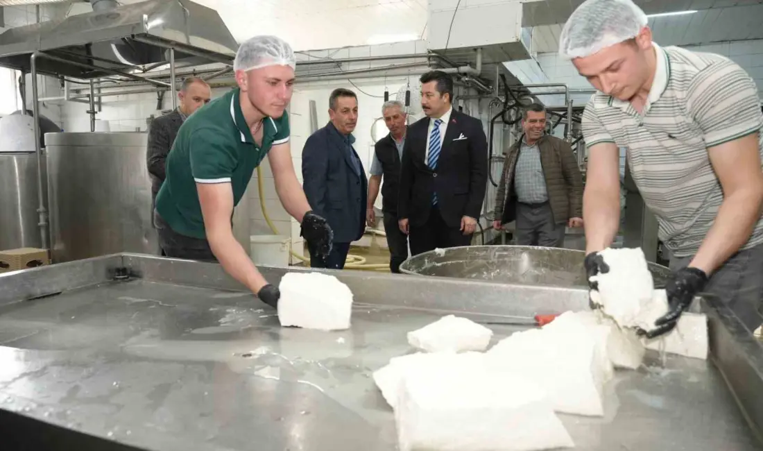 Yenişehir Belediye Başkanı Ercan Özel, ilçenin köklü üretim değerlerinden Orhaniye