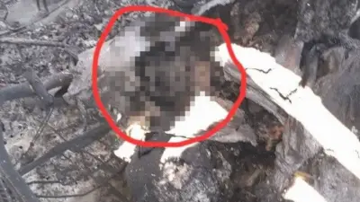 İran Devrim Muhafızları Ordusu Halkla İlişkiler Birimi, İran tarafından düşürülen