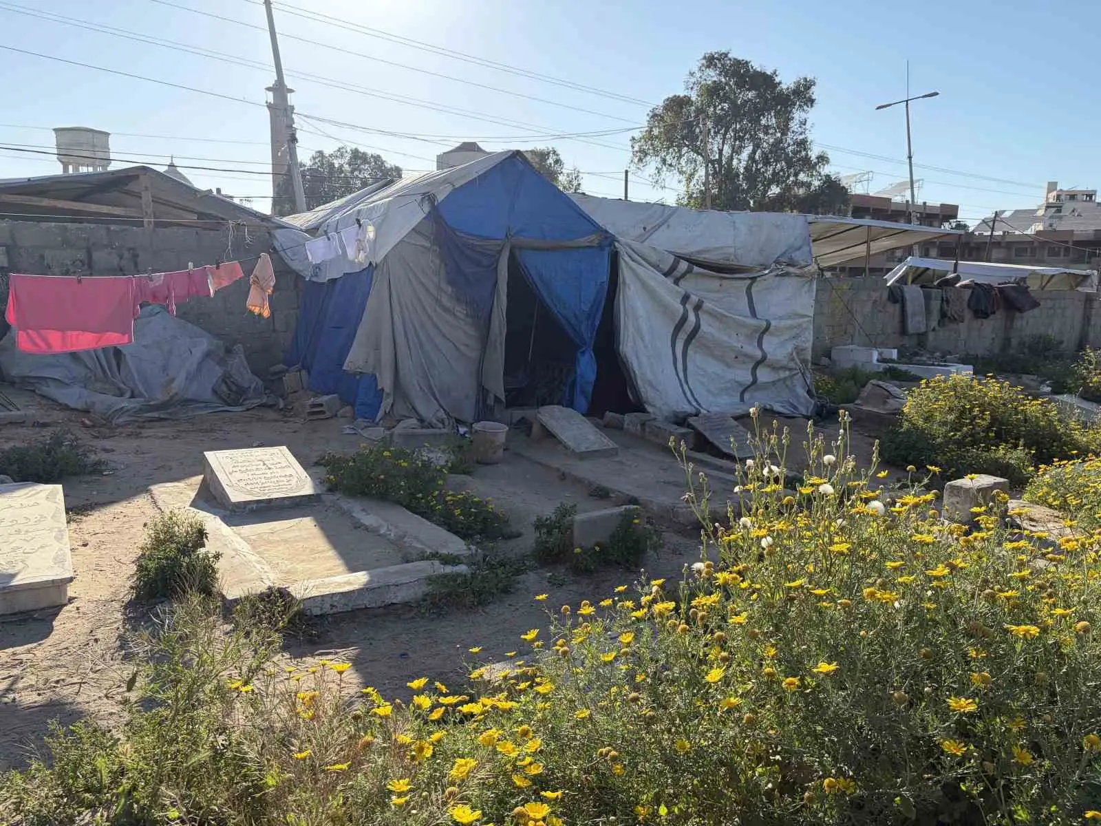 İsrail saldırıları sonrası yerinden edilen Gazzeli Halid ez-Zaanin, barınacak yer