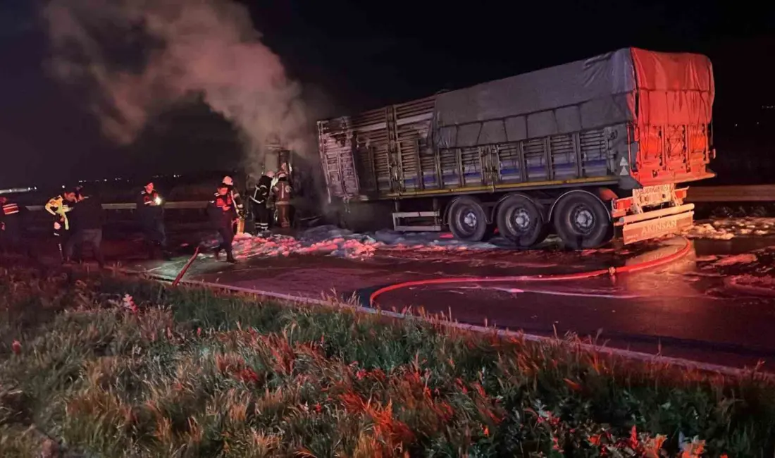 Bursa’nın Karacabey ilçesi Uluabat mevkiinde seyir halindeki bir tırda çıkan