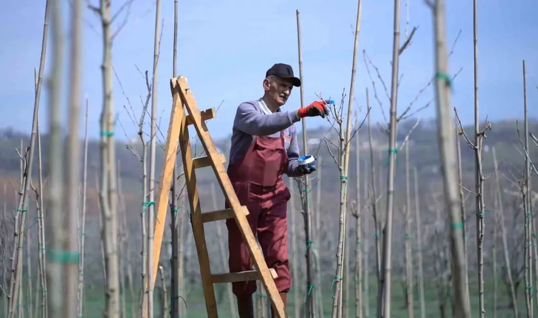 Kestel Belediyesi, bahar mevsimi öncesinde ilçe genelinde başlattığı peyzaj, temizlik