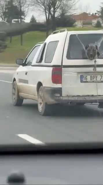 Bursa’nın İnegöl ilçesinde seyir halinde olan bir kamyonetin kırık camından