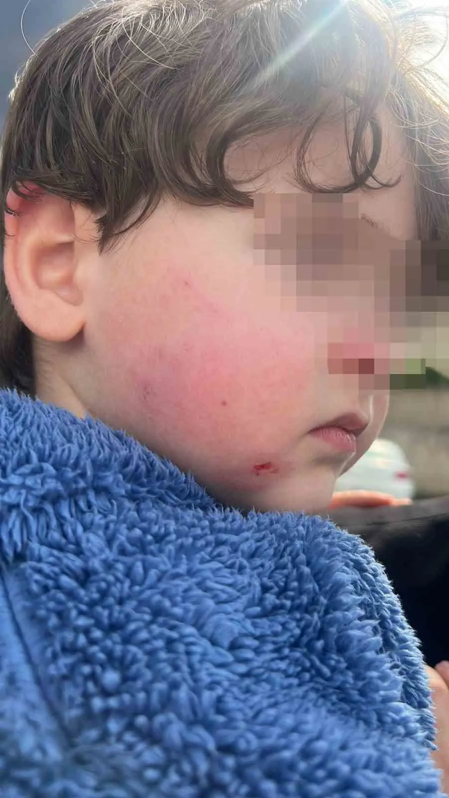 Bursa’nın Gemlik ilçesinde bir anne, sabah saatlerinde sağlıklı şekilde kreşe