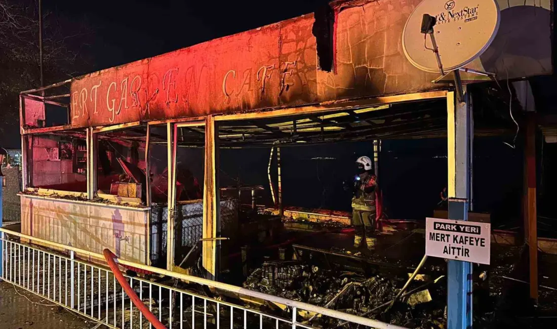 Bursa’nın Gemlik ilçesinde gece saatlerinde çıkan yangın, itfaiye ekiplerinin müdahalesiyle