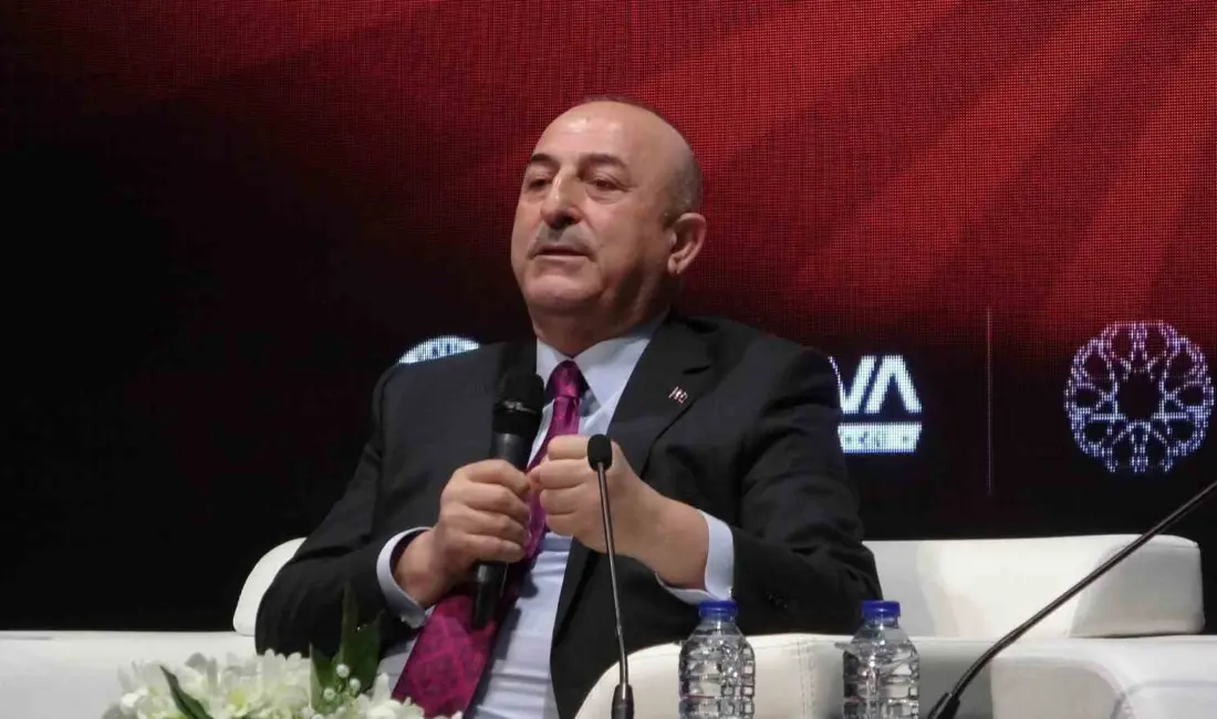 AK Parti Antalya Milletvekili Mevlüt Çavuşoğlu, “Müslüman ülkelere karşı kurulan