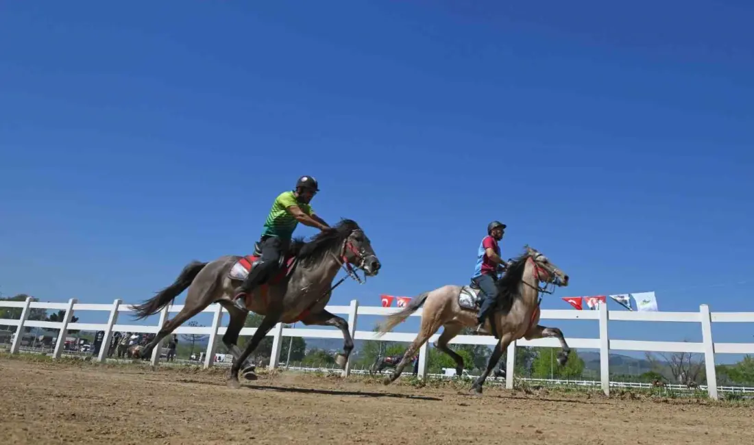 Osmangazi Belediyesi tarafından bu yıl 21’incisi düzenlenen Osman Gazi’yi Anma