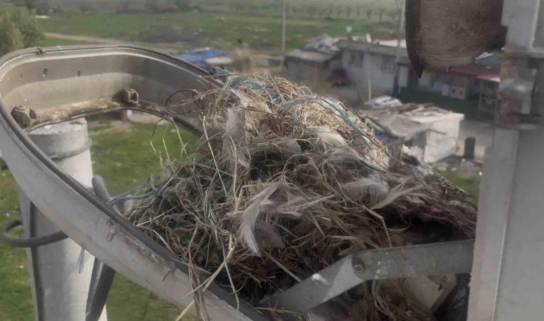 Bursa başta olmak üzere Balıkesir, Çanakkale ve Yalova’da 5 milyonun