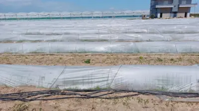 Tarım ve Orman Bakanlığı, sosyal medyada Mersin’in Tarsus ilçesinde bir