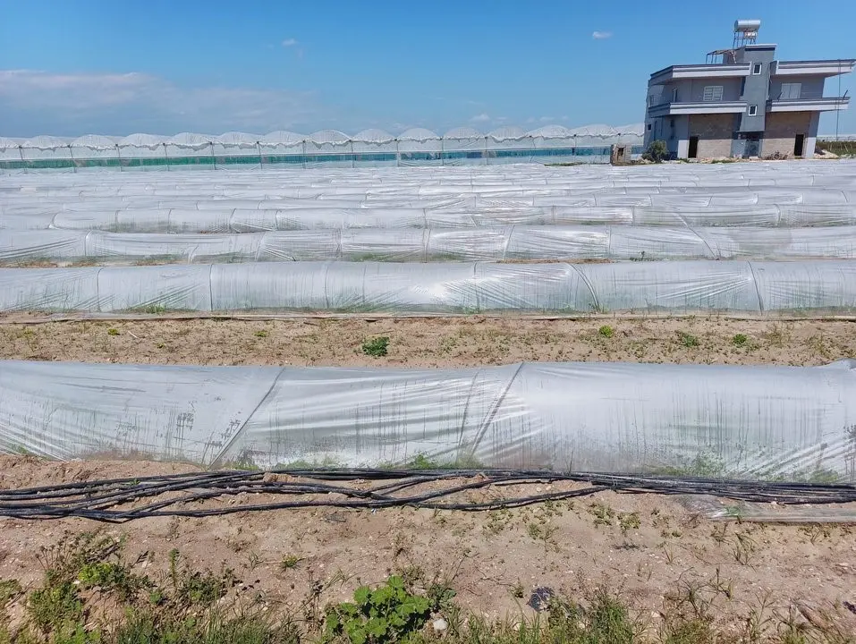 Tarım ve Orman Bakanlığı, sosyal medyada Mersin’in Tarsus ilçesinde bir