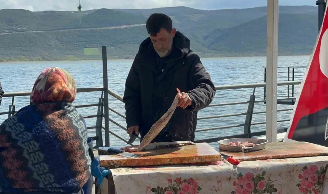 Bursa’da Uluabat Gölü’ndeki su miktarının artması, buna bağlı balığın az çıkması