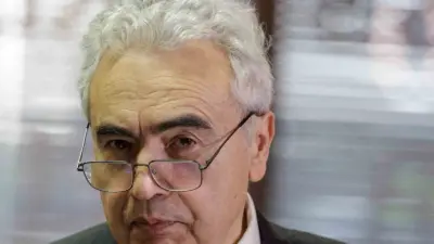 Uluslararası Enerji Ajansı Başkanı Fatih Birol, Avrupa’nın 6 hafta yetecek