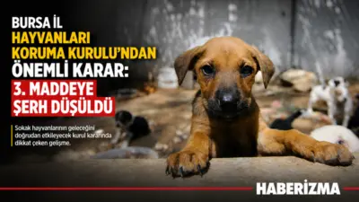 Bursa İl Hayvanları Koruma Kurulu, 31 Mart 2026’da yaptığı toplantıda
