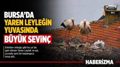 Bursa’nın Karacabey ilçesine bağlı Eskikaraağaç köyünde balıkçı Adem Yılmaz ile