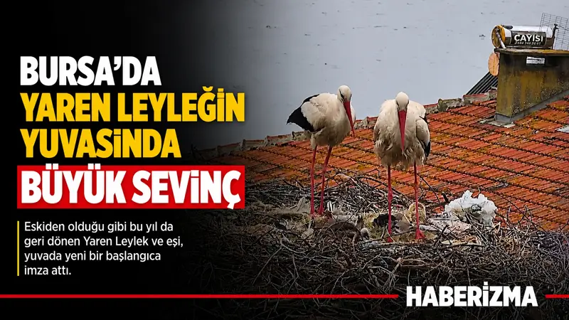 Bursa’nın Karacabey ilçesine bağlı Eskikaraağaç köyünde balıkçı Adem Yılmaz ile