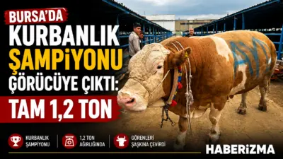 Bursa’nın Yıldırım ilçesinde kurulan İsabey Kurban Pazarı’nda, yaklaşan Kurban Bayramı