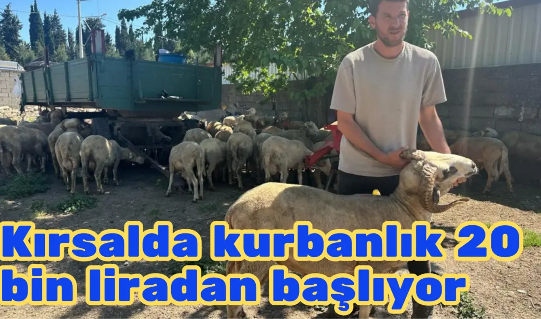 Bursa’da kent merkezinde kurulan hayvan pazarlarında nakliye, kira, yem ve