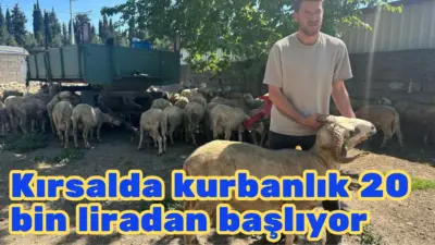 Bursa’da kent merkezinde kurulan hayvan pazarlarında nakliye, kira, yem ve