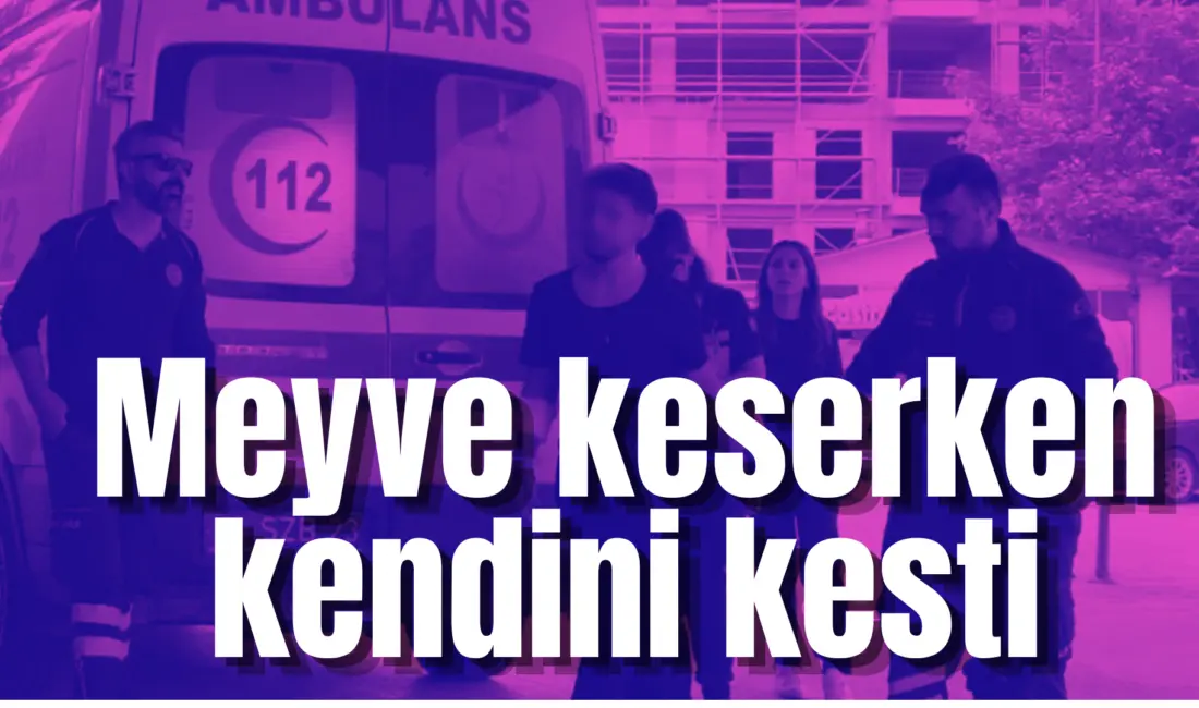 Bursa’nın İnegöl ilçesinde meydana gelen olayda meyve keserken kolunu kesen