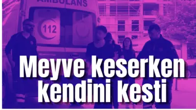 Bursa’nın İnegöl ilçesinde meydana gelen olayda meyve keserken kolunu kesen