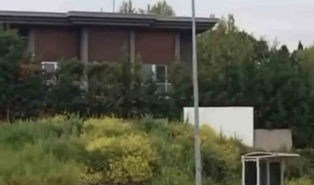 Bursa’da aç kalan domuz sürüsü gündüz saatlerinde şehir merkezine inerek