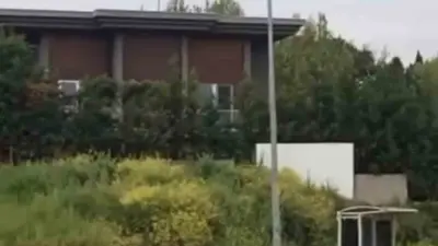 Bursa’da aç kalan domuz sürüsü gündüz saatlerinde şehir merkezine inerek